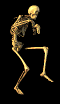 Aa skelet1